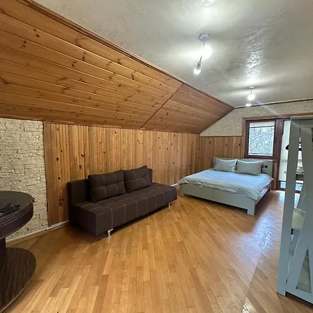 Vila Zelman Jaremče