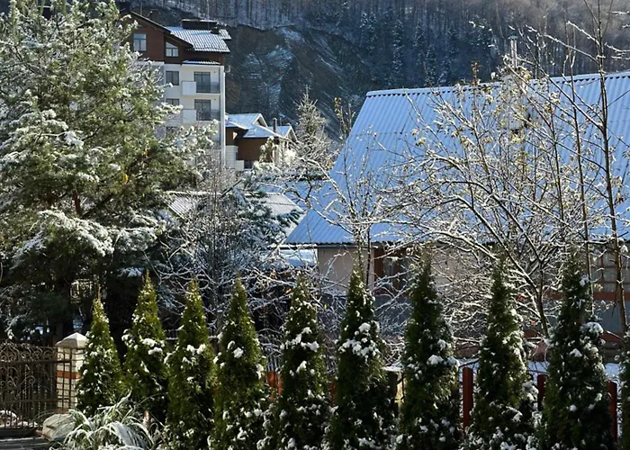Zelman *